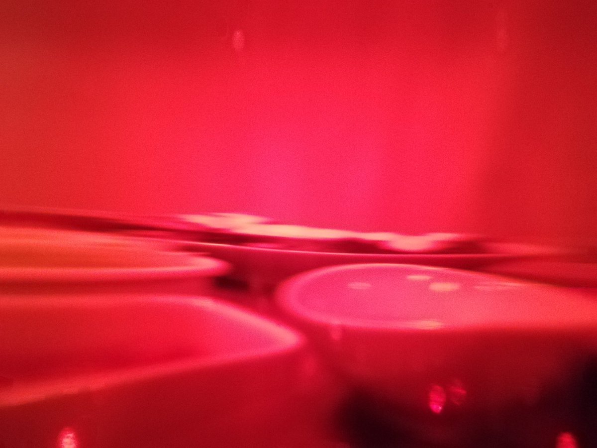 ・No.121 識別

・No.122 反射

・No.123 曲率

・No.124 焦燥