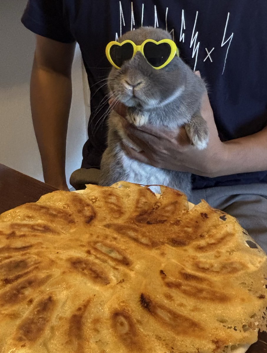 オールバックでグラサンかけてるうさぎと餃子🐰🥟