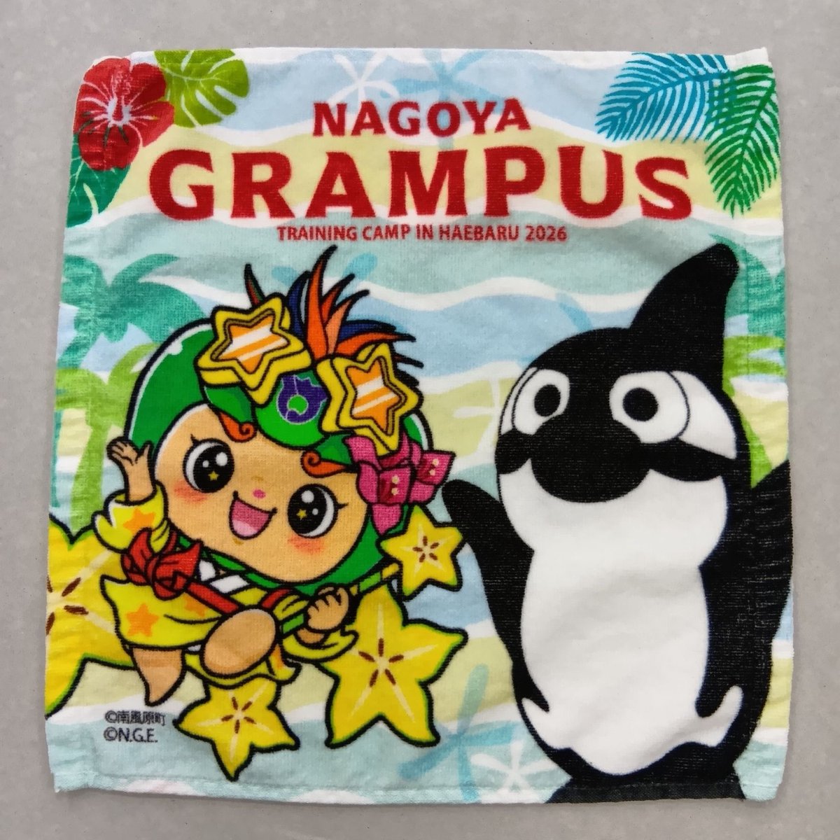 名古屋グランパス グッズ担当 (@nge_goods) / Posts / X