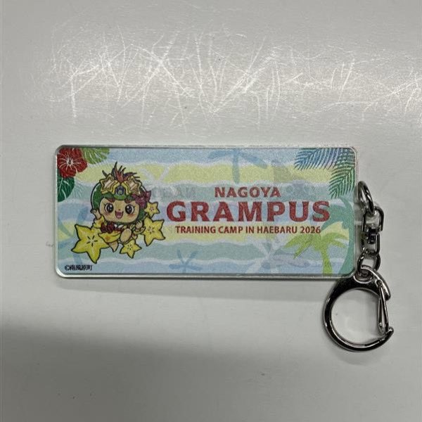 名古屋グランパス グッズ担当 (@nge_goods) / Posts / X