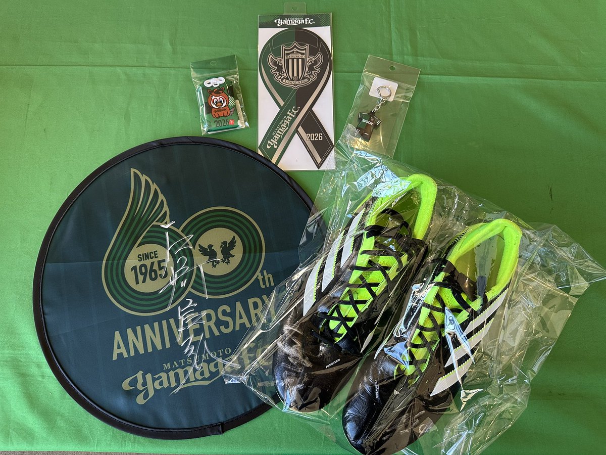 松本山雅サインボール 松本山雅J1昇格記念！木製サインボール