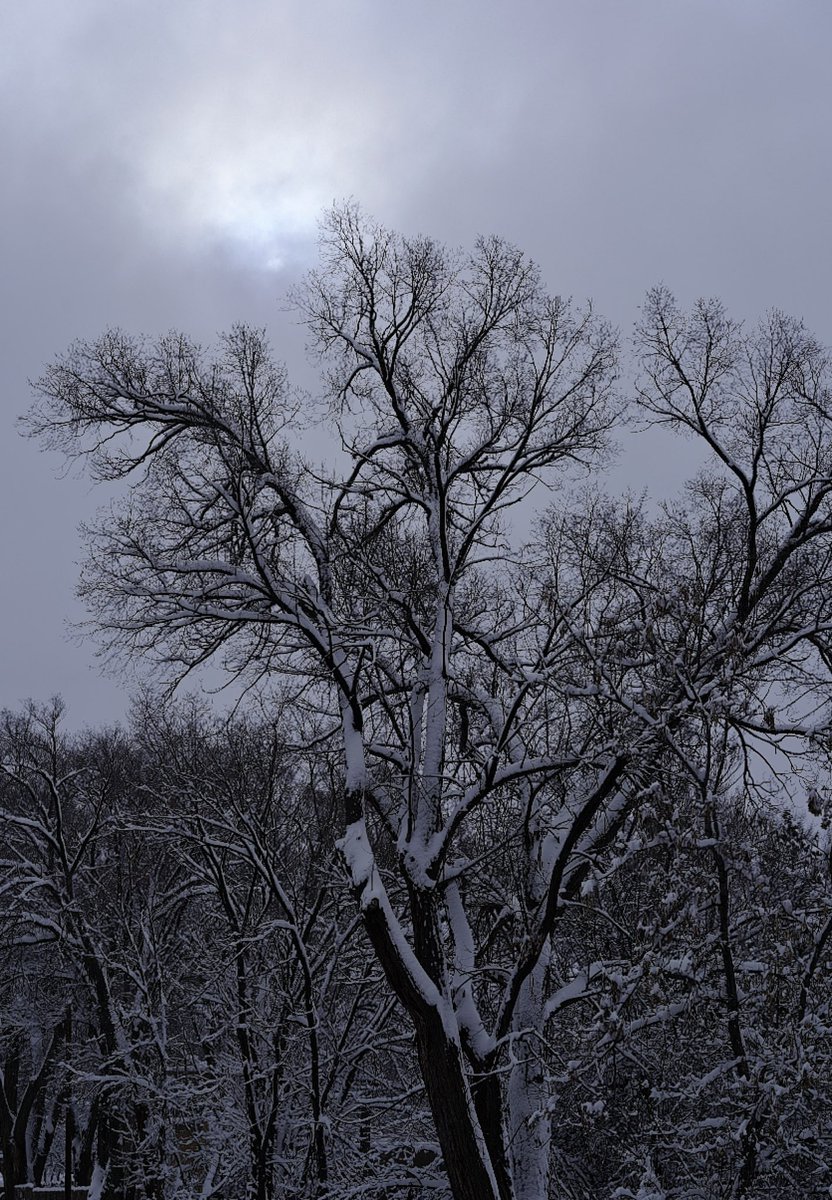 FMoore67's tweet image. Cold week at work. It is a nice change from the winters I usually experience.