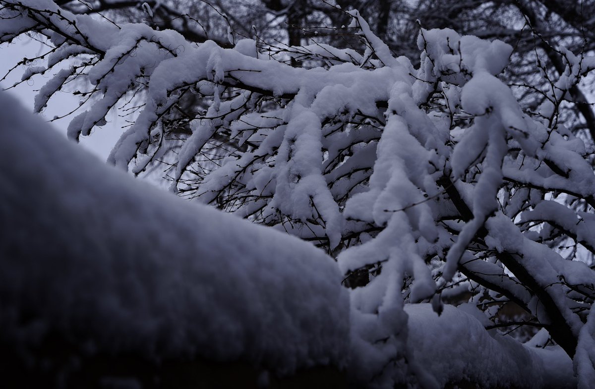 FMoore67's tweet image. Cold week at work. It is a nice change from the winters I usually experience.