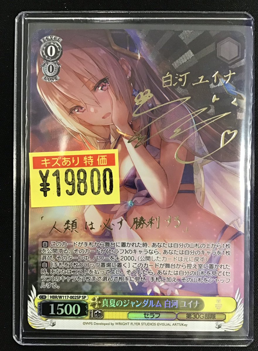 📣入荷情報📣】 #ヴァイス 『真夏のジャンダルム 白河ユイナ』(SP) ※傷