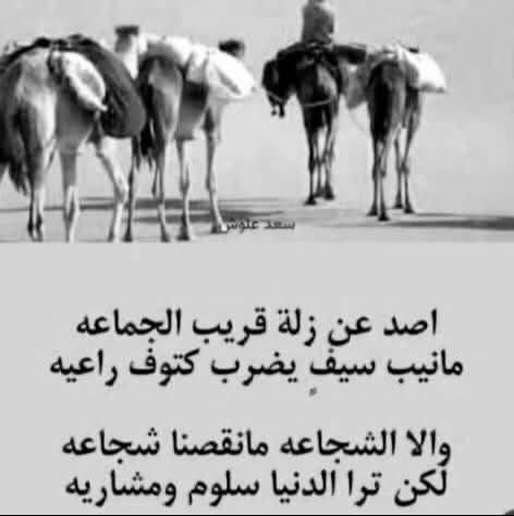 #كلمه_ولو_جبر_خاطر