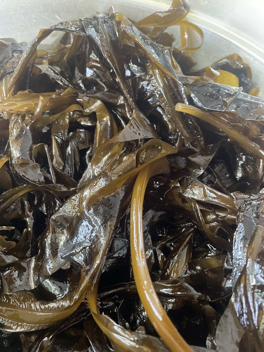 jacodesu's tweet image. 生わかめ入荷しました⊂(`･ω･´)⊃ﾊﾞｯ

まだこの時期の生わかめは茎が細く柔らかいのでおすすめです！！