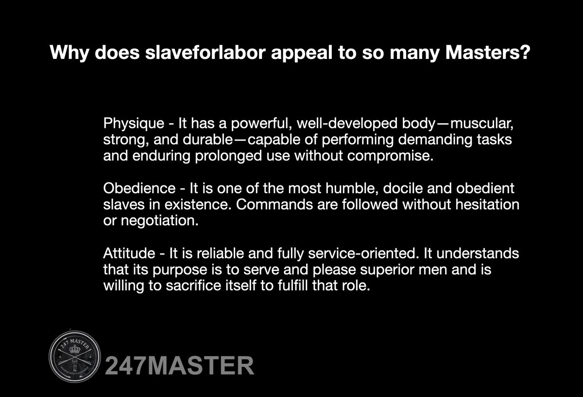 The 247Master tweet media