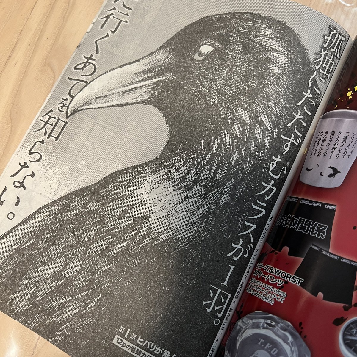 T_Hiroshi_staff's tweet photo. 運営
いよいよ明日発売のヤングチャンピオンにて髙橋ヒロシ「ダストランド」新連載スタート‼︎
新たな伝説が幕を開ける。
注目の第一話を絶対に見逃すな‼️

付録としてもらえる「ダストランド」クリアファイルも是非手に入れてほしい！ https://t.co/KkCXTEk7zY