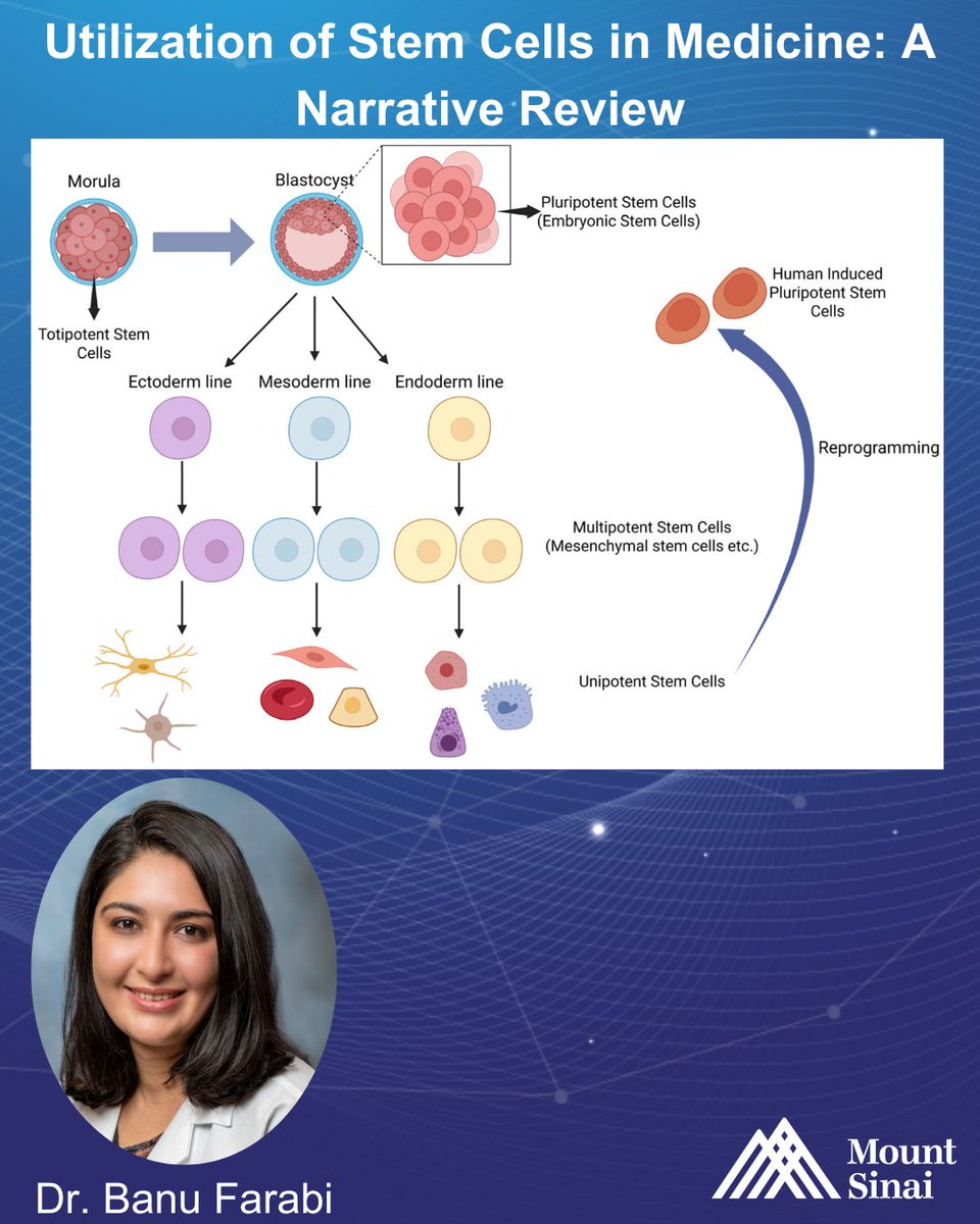 Mount Sinai Dermatology tweet media