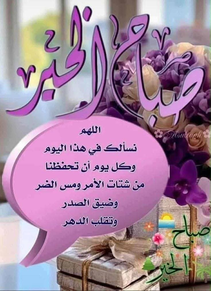 MOHAMMED tweet media