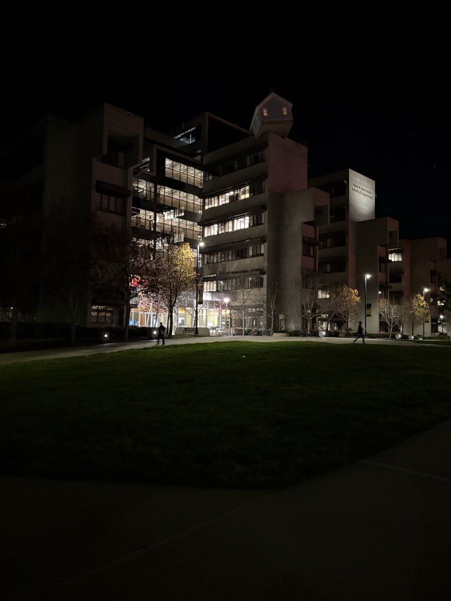 Ellison Locke 2028 tweet media