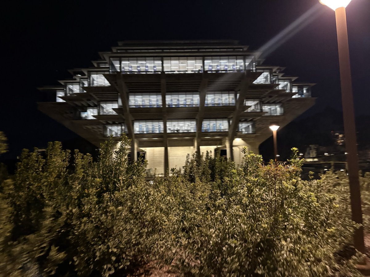 Ellison Locke 2028 tweet media