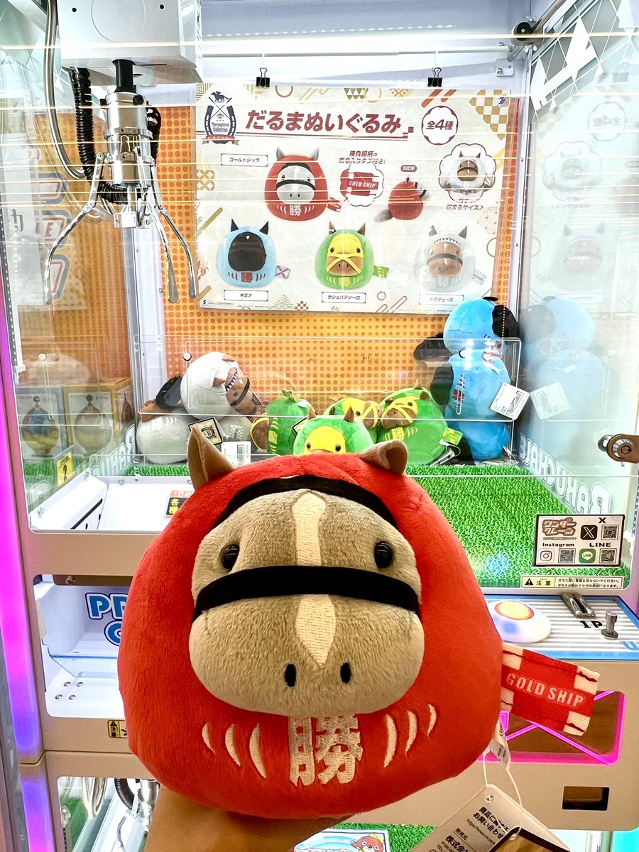 サラコレのゴルシだるまをゲット ラスト1個だったのかな さすが人気の