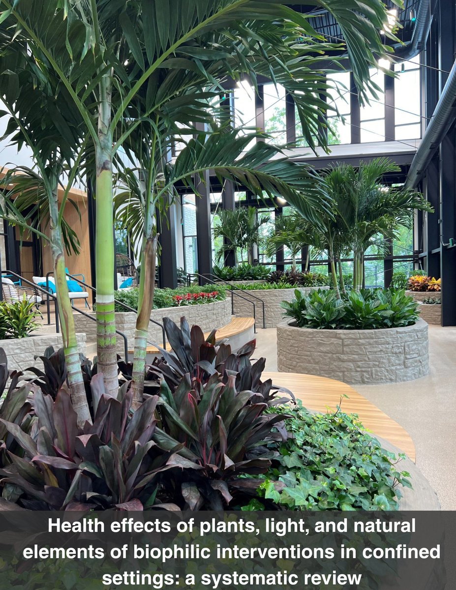 🌿 Plants in confined spaces = better mood, less stress, improved cognition!
A systematic review of 124 studies shows greenery boosts health &amp; resilience in hospitals, eldercare, space habitats &amp; more.
Read the full study 👇
gpgb.org/portfolio-item…