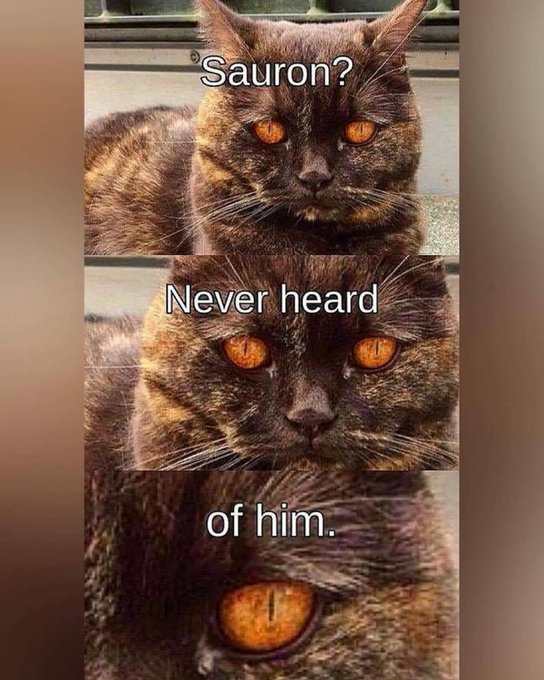 Dailymiddlearth's tweet image. 