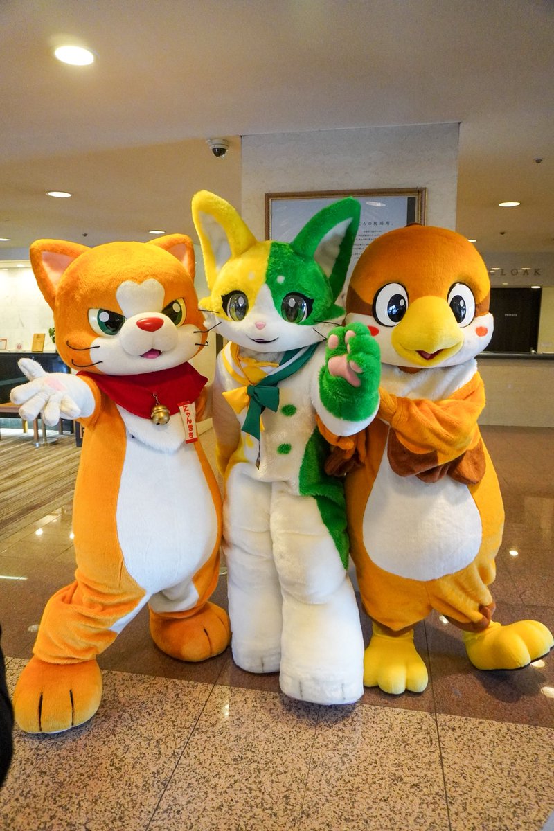 にゃん吉【公式】Nyankichi (@cat_nyankichi) / Posts / X