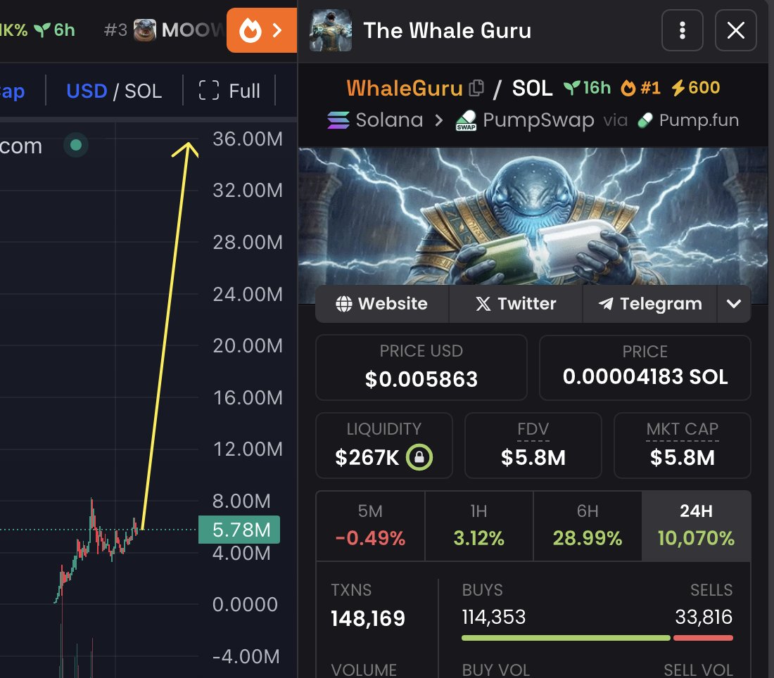 First 300 wallets gets surprise 🤫

ROAD TO $35 Million from here!

$WhaleGuru is only 16 hours old right now and i am sure it will be able to reach 35 million 48hours!

I am telling you this is the 100x gem minimum and shit about to fly hard !