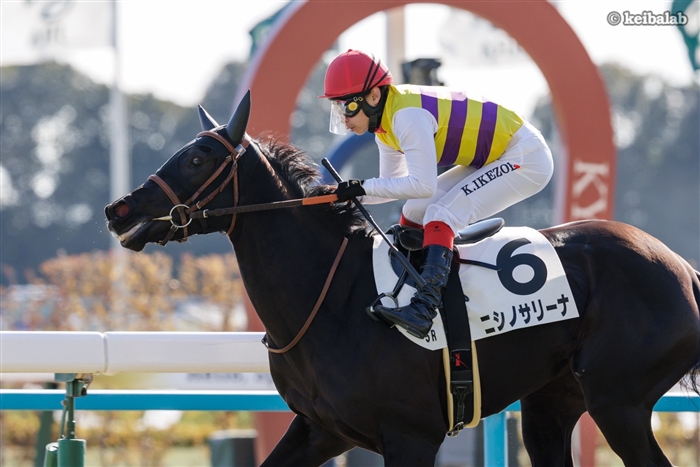 青雲の志を胸に秘め】 26年1月12日京都5R・3歳新馬1着 ニシノサリーナ
