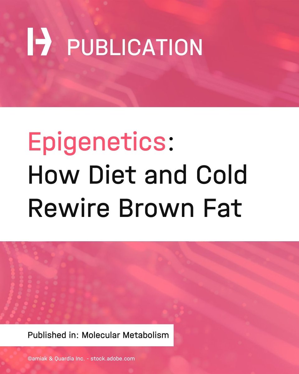 HelmholtzMunich's tweet image. How Diet and Cold Rewire Brown Fat at the Epigenetic Level

👉t1p.de/mmdg2

Researchers from the Helmholtz Institute for Metabolic, Obesity and Vascular Research (HI-MAG), an institute of #HelmholtzMunich and Leipzig University, in collaboration with the University