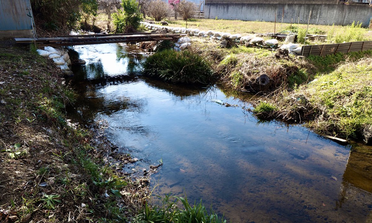 frog_frog's tweet image. 大丸用水菅堀にかかる、素朴な橋
〔稲城市〕