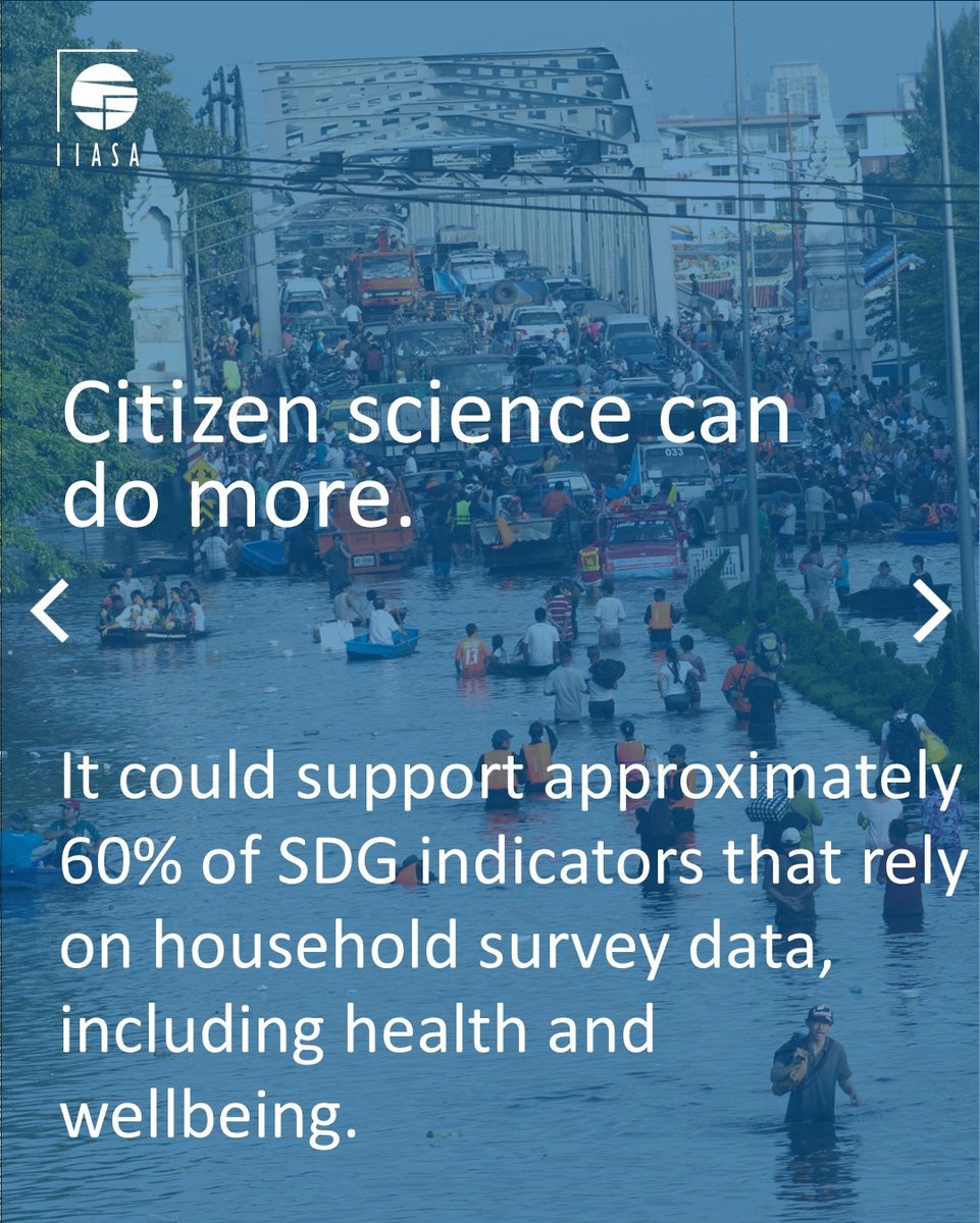 Dilek Fraisl tweet media