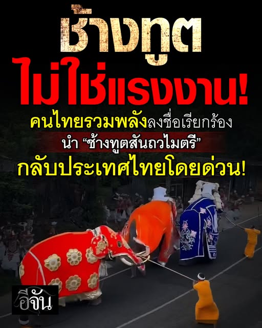 EJanNews's tweet image. ช้างทูตไม่ใช่แรงงาน! คนไทยรวมพลัง! ขอรับ “ช้างทูตสันถวไมตรี” กลับประเทศไทยโดยด่วน! อ่านต่อ ejan.co/news/5j3fitx00…
#พลายประตูผา #พลายศรีณรงค์
#ช้างทูตสันถวไมตรี