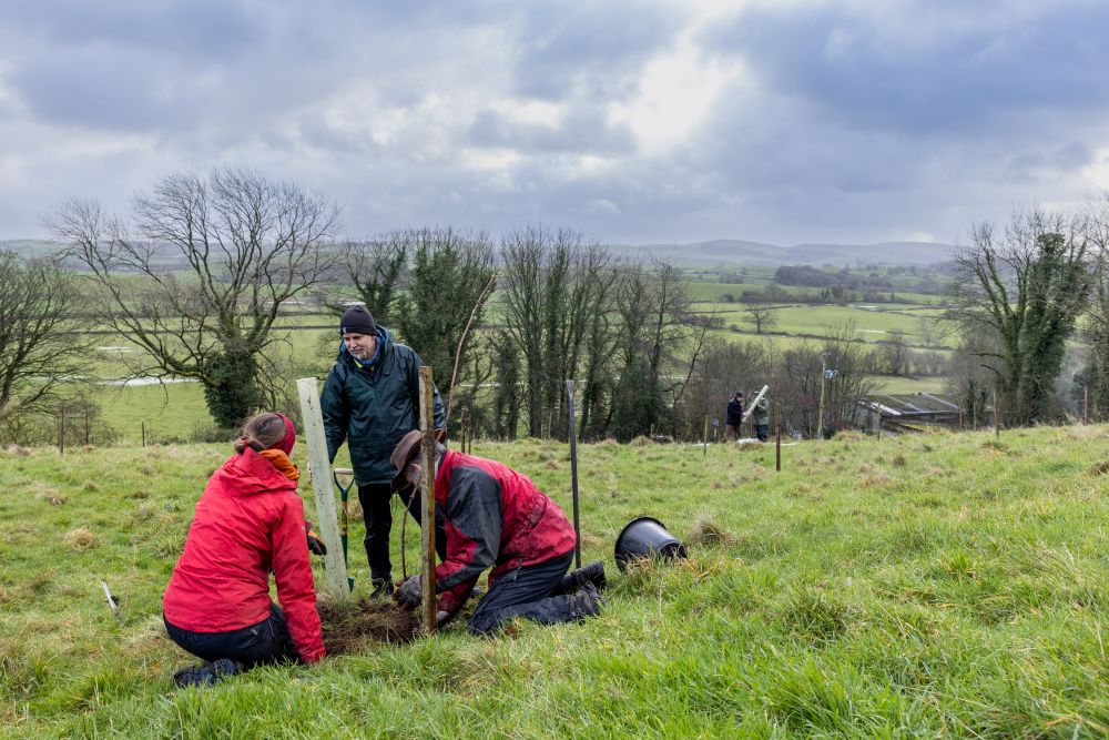 Friends of the Lake District tweet media