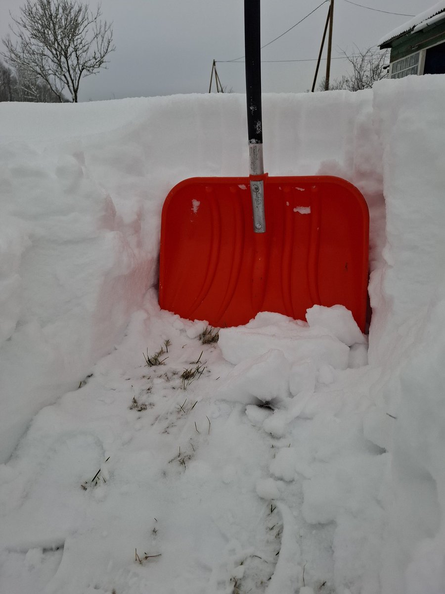 _svilpaste_'s tweet image. Taka uz malkas šķūni procesā #vienalaukos