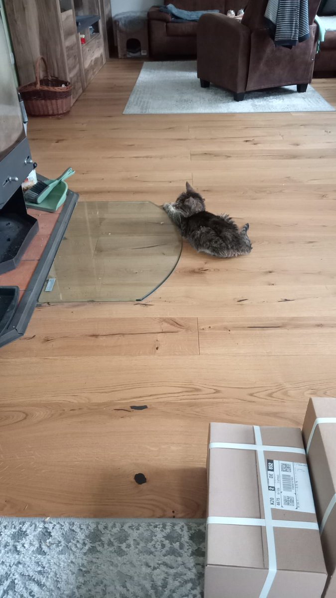 Bei der Kälte erledigte ich am Morgen zuerst die Büroarbeit bevor ich in die Werkstatt ging. Mikado leistete mir dabei immer etwas Gesellschaft.
Wünsche allen einen guten Start in die neue Woche und bleibt gesund.
#liebingholzarbeiten