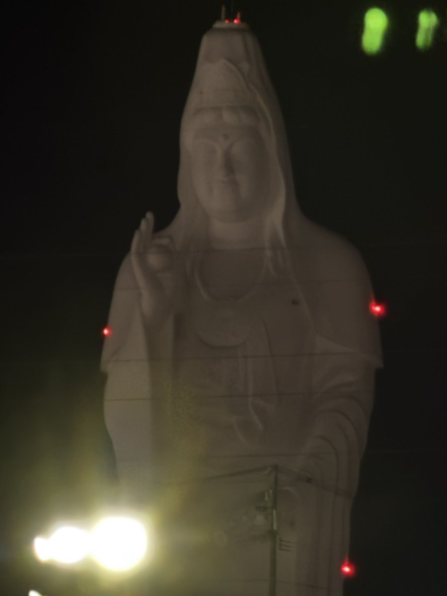 仙台大観音の大仏様いつも通り過ぎてたから初めて見たかも！
夜はやっぱり怖い…
また来るよ仙台。