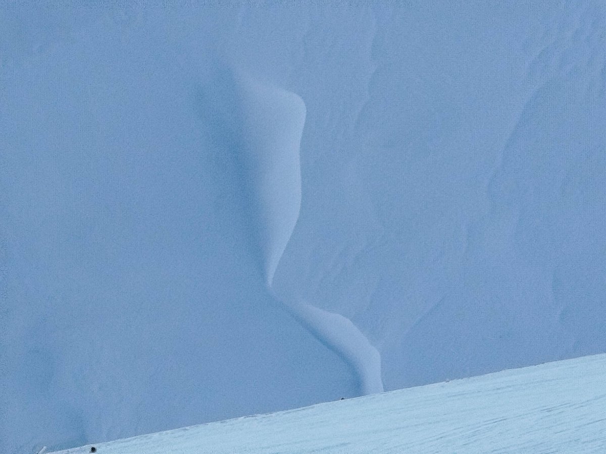 emanuela sanna tweet media