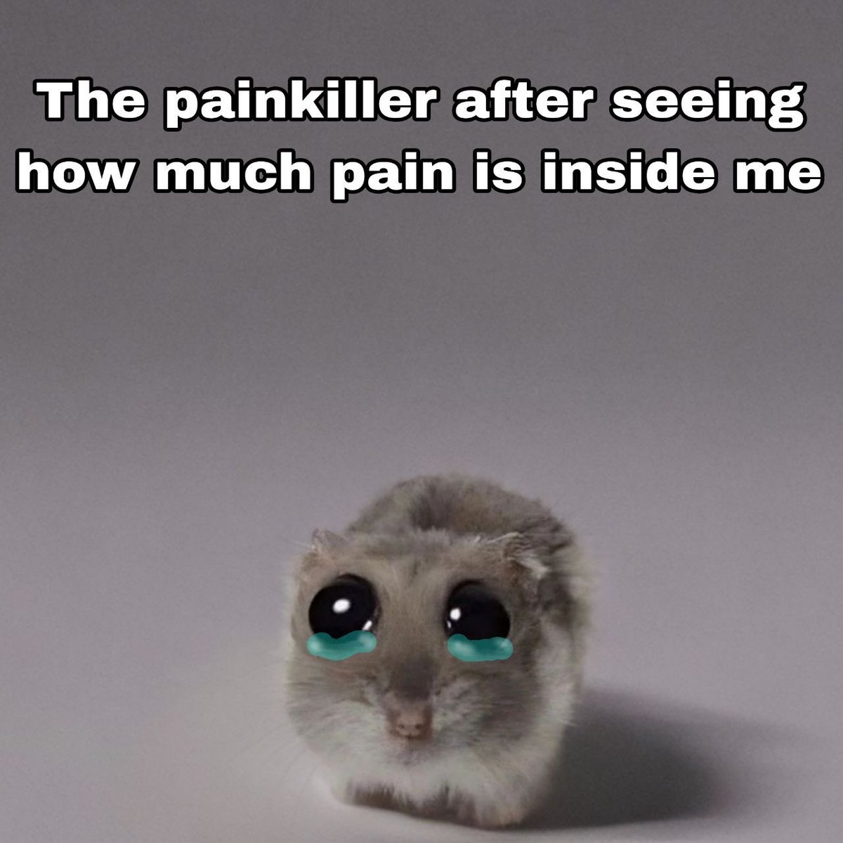 Sad Hamster - $Hammy tweet media