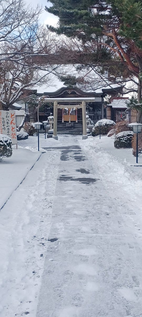 nobuyukinoguchi's tweet photo. 1月3日にギックリ腰になってしまいましたが、だいぶ良くなってきたので四本松神社に初詣に行ってきました。
元旦はジョギング中にコケて顔面から転びましたが、ケガしなくてツイてます。
これから少しずつ調子上げていきたいです🏃🏃 https://t.co/xk7XKAOqfd