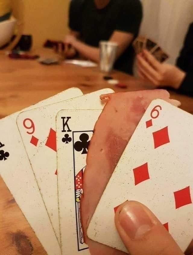 equine__dentist's tweet image. this is what playing balatro feels like