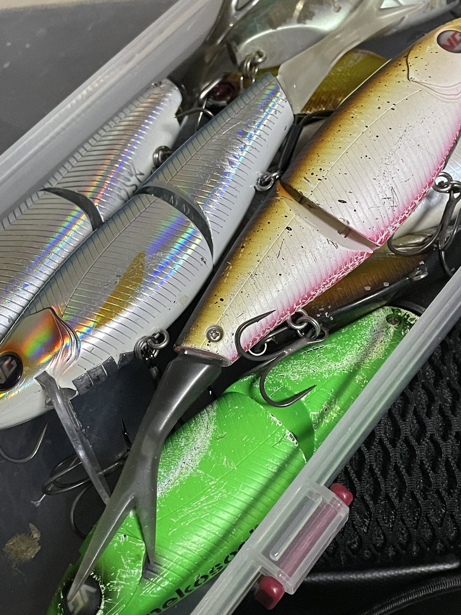 レガーメ　無双　イカメタル早い者勝ち❣️ HAZIMETAL (@lakebiwa_bait) / Posts / X