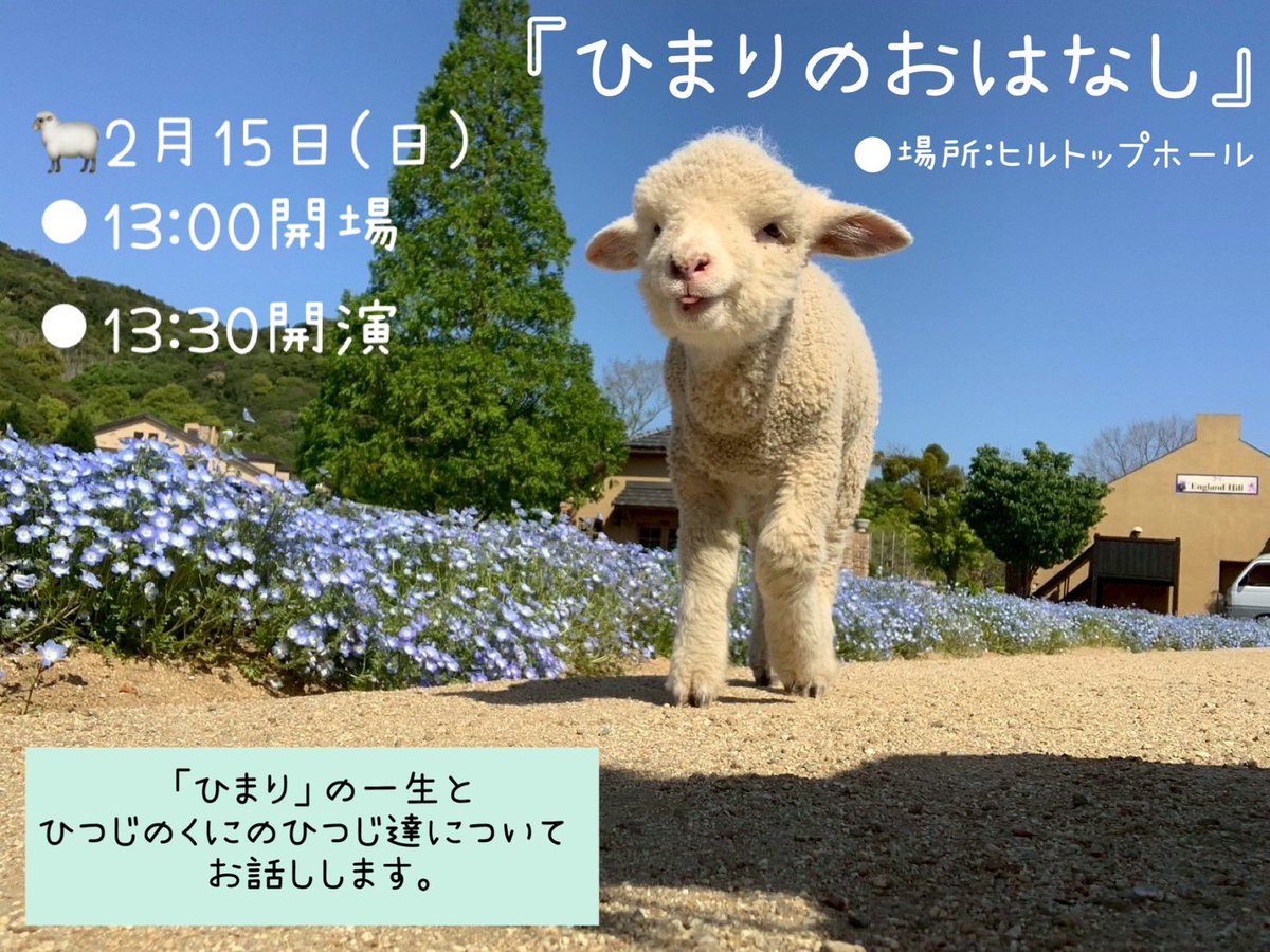 ひまりのおはなし】 2月15日(日曜日)は、ひつじの「ひまり」の命日と