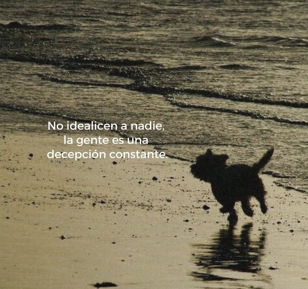 vibesfyp's tweet image. la gente es una decepción constante.