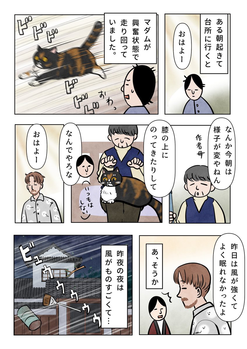 かんな (@kanna96) / Posts / X