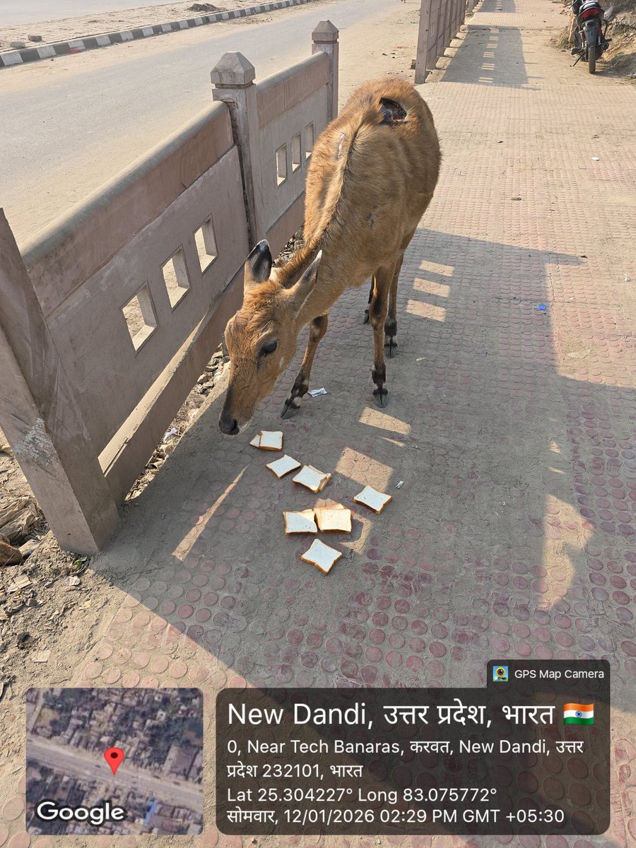 Er. Abhishek Patel tweet media