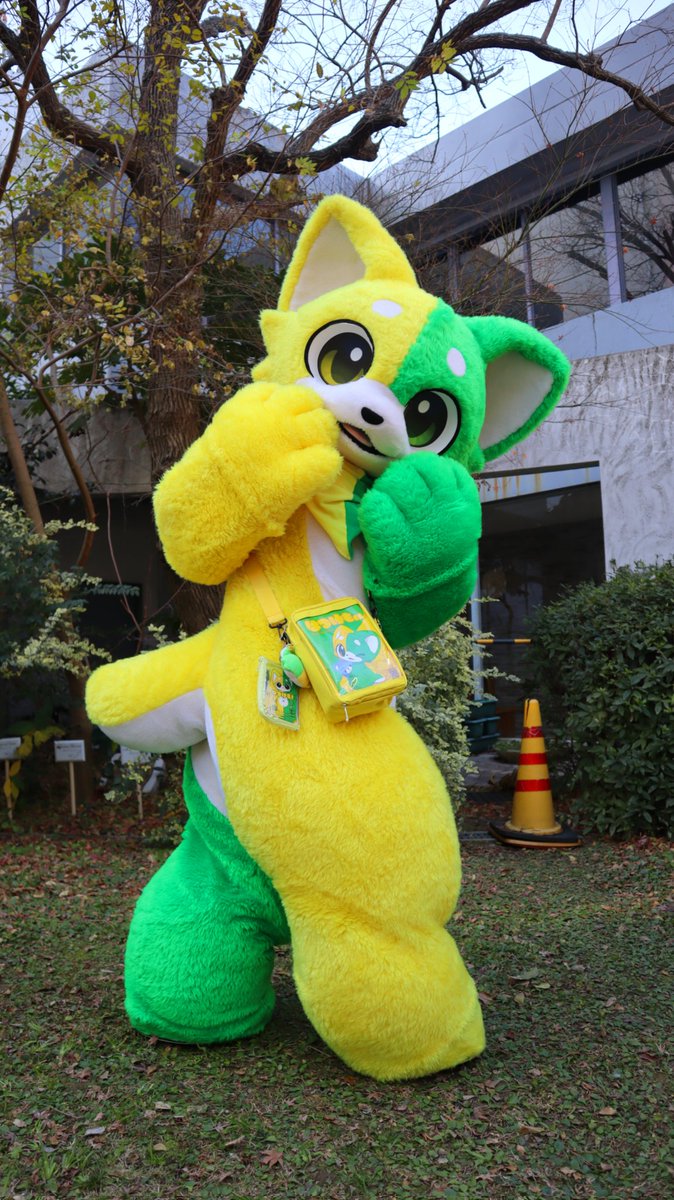 はつけもくん！！ 着ぐるみを知った時に最初にこの子を知ってずっと会