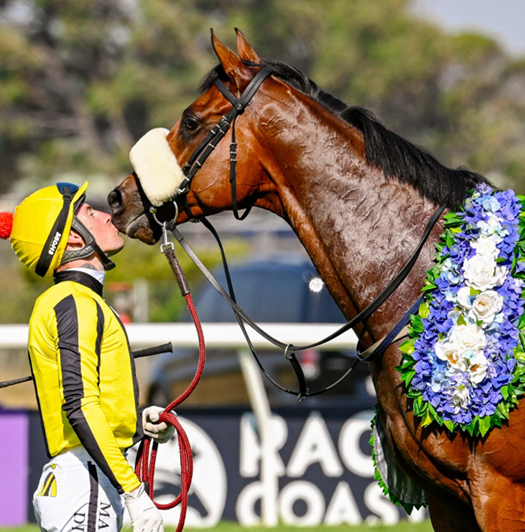 FreemanStallions tweet media