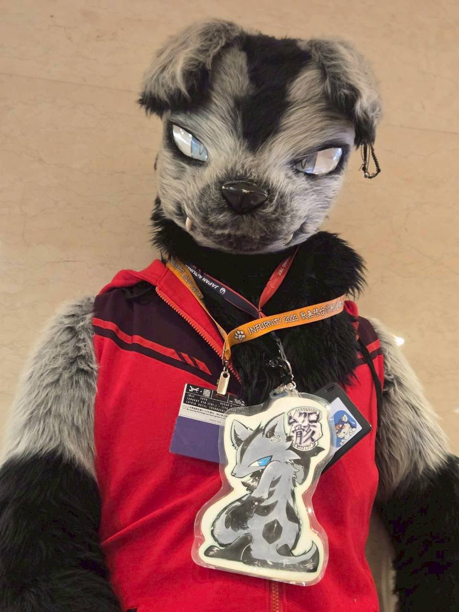 mp_696's tweet image. 帰りました　ありがとうございました
#JMoF2026