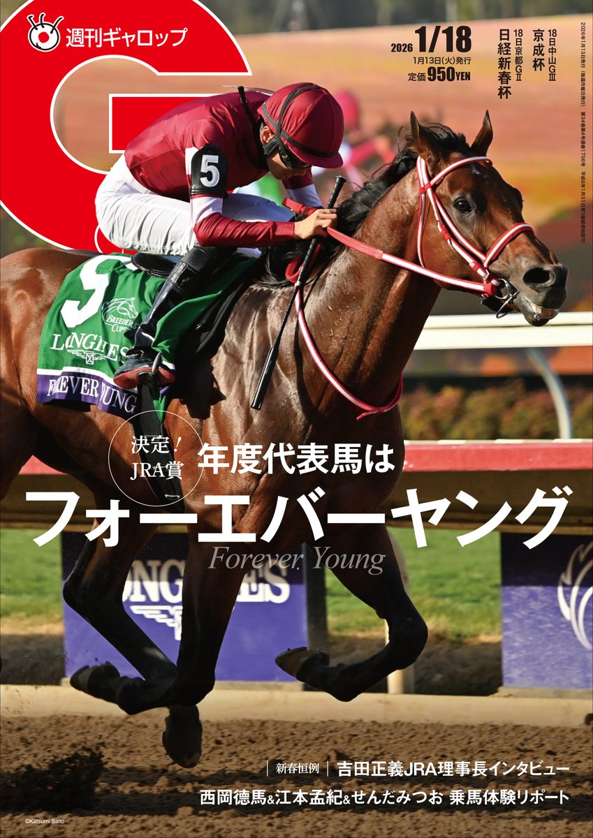 鷹*様 競馬必勝法本『覇王』 鷹*様 競馬必勝法本『覇王』 覇王 【レア