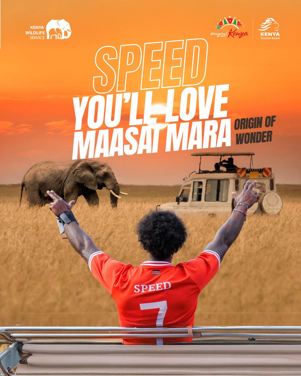 Kenya Tourism Board tweet media