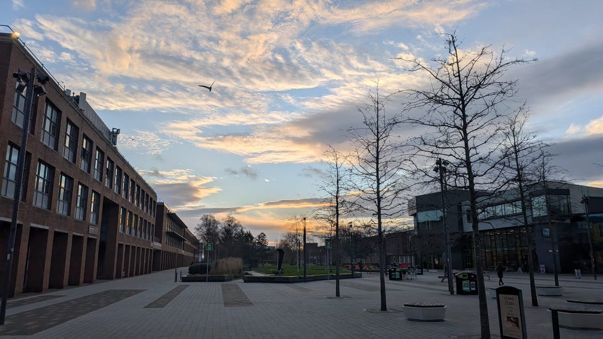 DCU Alumni tweet media