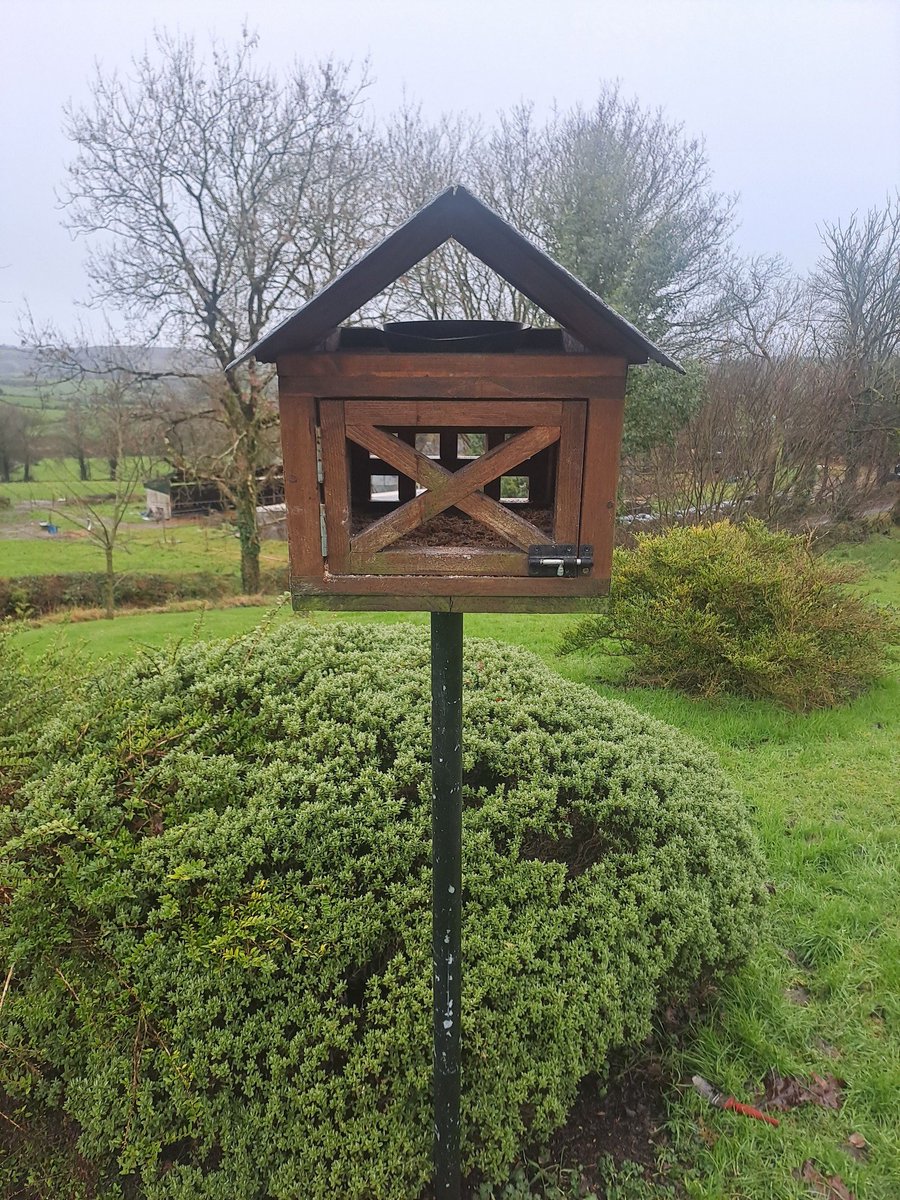 A home-made bird feeder, which apparently is pigeon-proof! 🥰👍