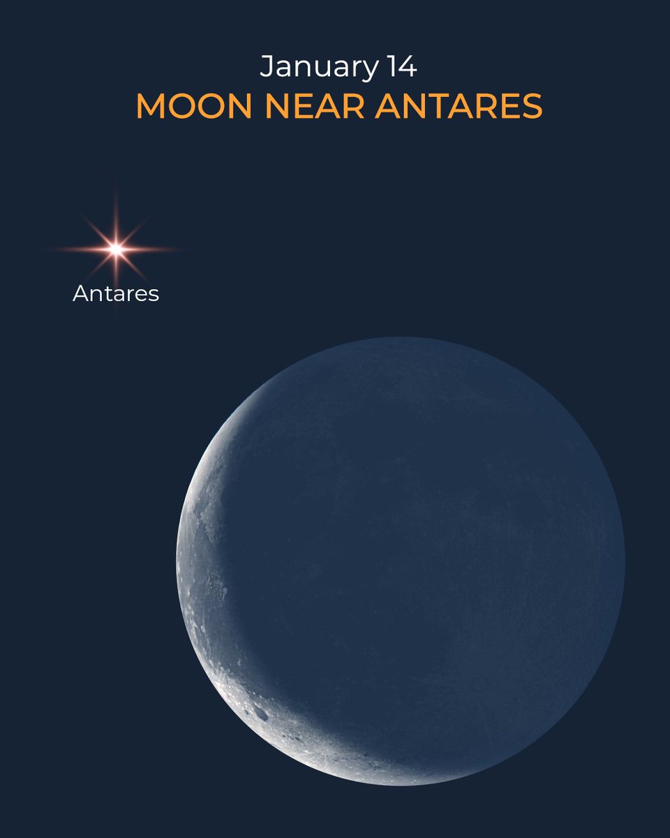 StarWalk's tweet image. January 14, 2026: the Moon meets Antares 🌙✨

The 14%-lit Moon passes close to Antares in Scorpius, and observers in Australia can witness a rare lunar occultation of the bright red star.

📱 Track the event with Sky Tonight

Read more: starwalk.space/news/antares-s…

#Moon #Antares…