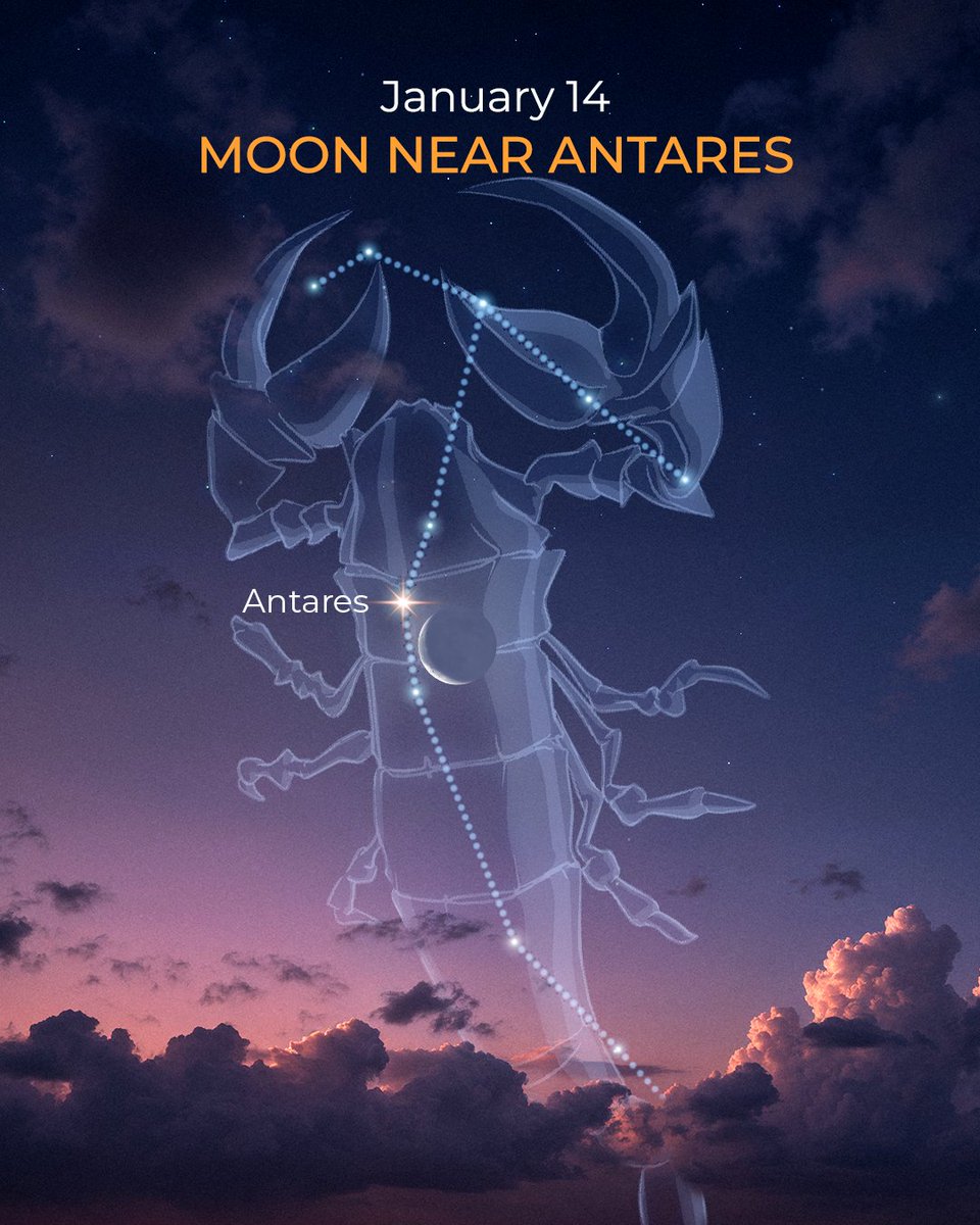 StarWalk's tweet image. January 14, 2026: the Moon meets Antares 🌙✨

The 14%-lit Moon passes close to Antares in Scorpius, and observers in Australia can witness a rare lunar occultation of the bright red star.

📱 Track the event with Sky Tonight

Read more: starwalk.space/news/antares-s…

#Moon #Antares…