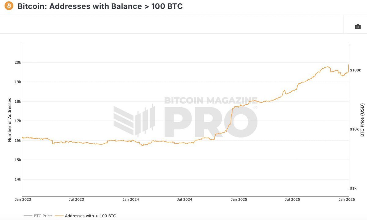 Bitcoin whale accumulation is expanding again🚨 The number of addresses  holding more than 100 $BTC has reached a new all time high, signaling  continued balance sheet growth among large holders. This type