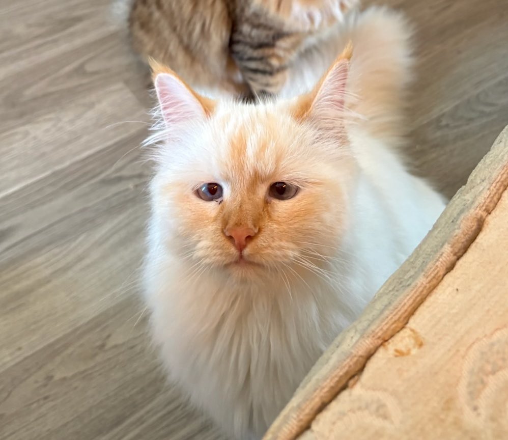 e_mo____'s tweet image. Work tomorrow